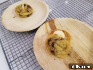 Mastering Pizza Science The BlueStar Way In An Unrivaled Kitchen 14 Delicious homemade ice cream sandwiches for dessert