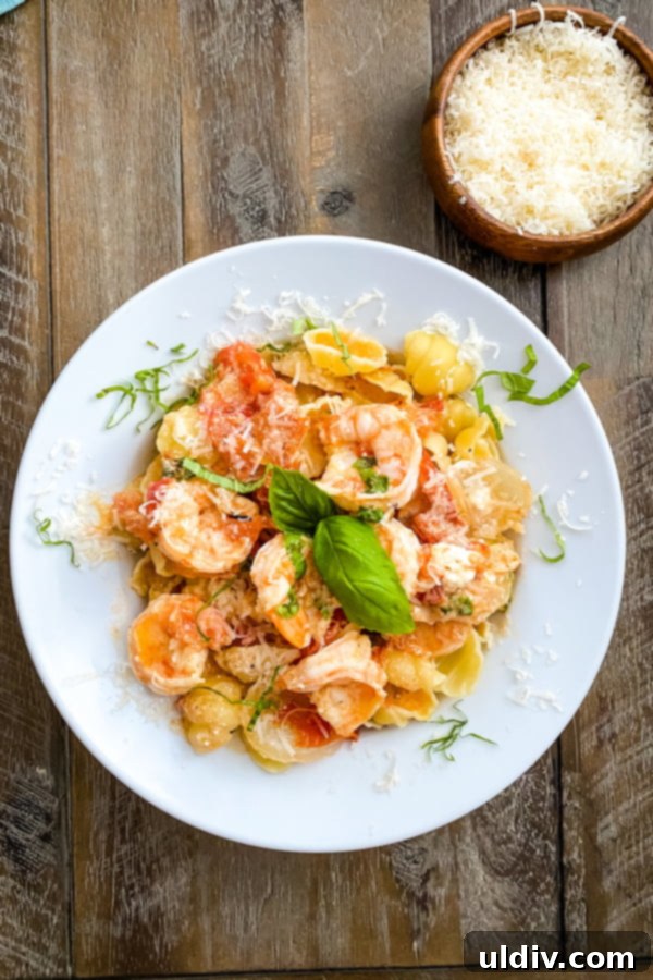 Seared Shrimp with Blistered Tomato Sauce and Crumbled Goat Cheese 2 bowl of crustaceans with pasta