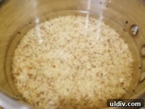 Elevated Quinoa Patties for Your Best Vegetarian Life 4 Quinoa simmering in a saucepan