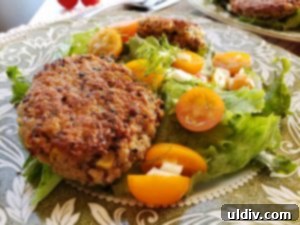 Elevated Quinoa Patties for Your Best Vegetarian Life 9 Quinoa patties served with a fresh garden salad