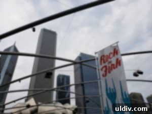 Chicago Gourmet: Stellar Tradition, Fork-Rocking Chicago Style 3 Millennium Park festival grounds on a cloudy day