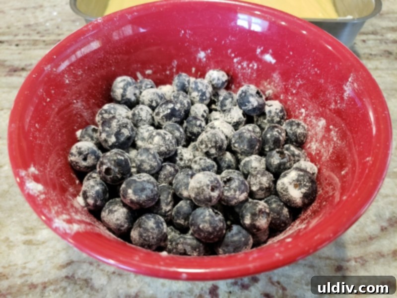 Nielsen Massey Holiday Flavors Bundle Review And Giveaway Blueberry Cake For Christmas Unexpectedly Delicious 11 Fresh blueberries lightly coated in flour, a technique to prevent them from sinking in the cake batter.