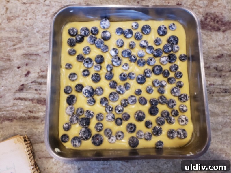 Nielsen Massey Holiday Flavors Bundle Review And Giveaway Blueberry Cake For Christmas Unexpectedly Delicious 12 Blueberries evenly distributed on top of the cake batter in the baking pan, ready for the oven.