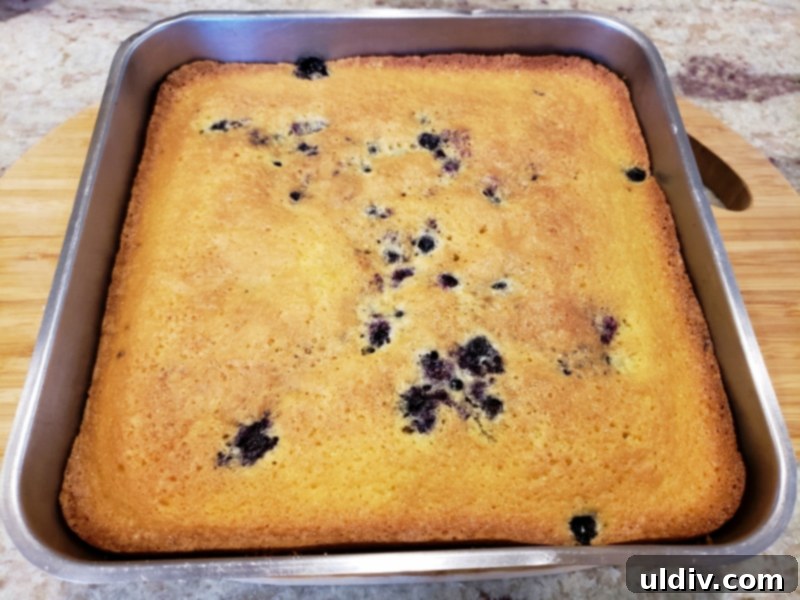 Nielsen Massey Holiday Flavors Bundle Review And Giveaway Blueberry Cake For Christmas Unexpectedly Delicious 13 A golden-brown blueberry cake, freshly baked and cooled, removed from the oven and ready to be cut.