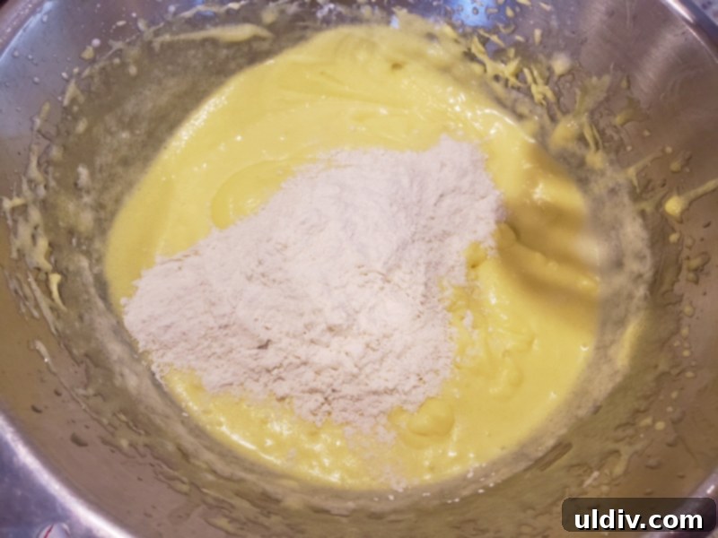 Nielsen Massey Holiday Flavors Bundle Review And Giveaway Blueberry Cake For Christmas Unexpectedly Delicious 8 Half of the dry flour mixture folded into the cake batter, ensuring proper incorporation.