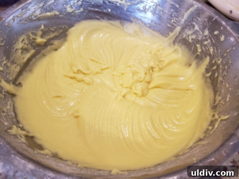 Nielsen Massey Holiday Flavors Bundle Review And Giveaway Blueberry Cake For Christmas Unexpectedly Delicious 9 The full cake batter, perfectly mixed and flavored with Nielsen-Massey vanilla, ready for baking.