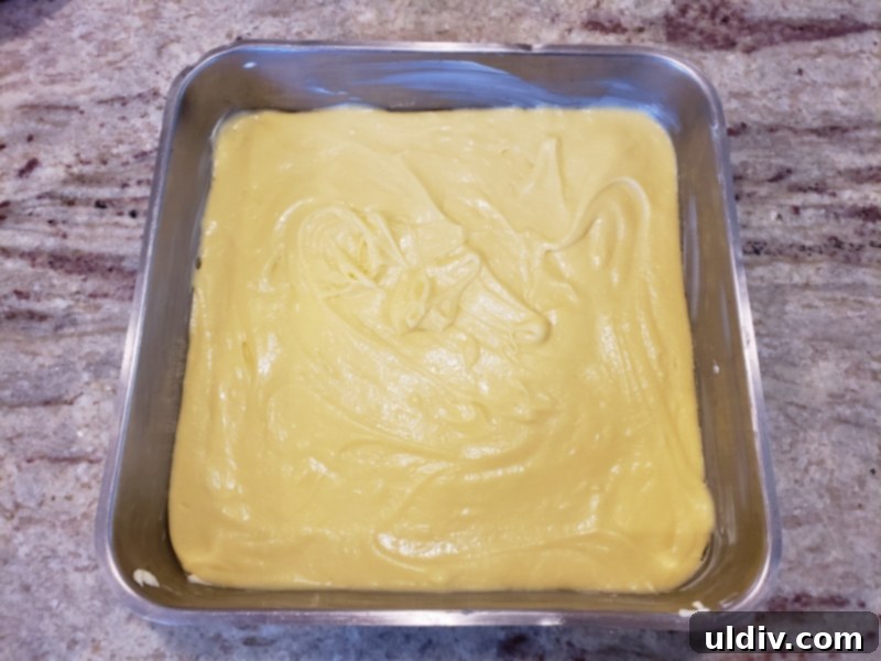 Nielsen Massey Holiday Flavors Bundle Review And Giveaway Blueberry Cake For Christmas Unexpectedly Delicious 10 Cake batter poured into a buttered and floured baking pan, ready for the blueberries.
