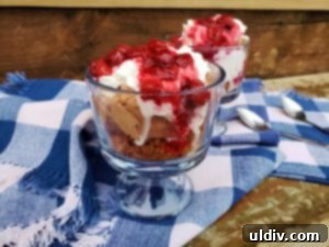 The Martina McBride Cookbook Giveaway has Ended: Bringing Home the Best Flavors 5 No-bake Chocolate-Cherry Cheesecakes with Biscoff Crust