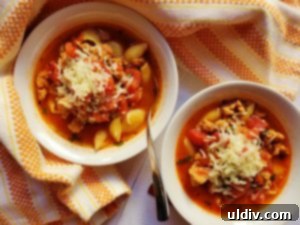 The Martina McBride Cookbook Giveaway has Ended: Bringing Home the Best Flavors 7 Martina McBride's Lasagna Soup, first attempt with substitutions