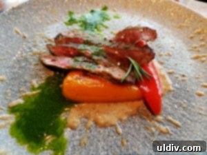 My Culinary Journey Judging the Midwest Chef Battle 15 Chef Cameron Settle's elegantly plated sirloin tip dish