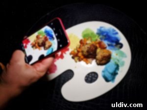 My Culinary Journey Judging the Midwest Chef Battle 8 A dish with a less creative presentation, failing to capture attention