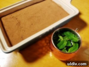 Chef Fabio Viviani's perfectly crafted tiramisu, a creamy and decadent Italian dessert topped with cocoa.