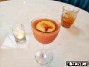 The Soul's True North 14 Pink City Cocktail