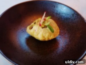 The Soul's True North 16 Dahi Puri at ROOH