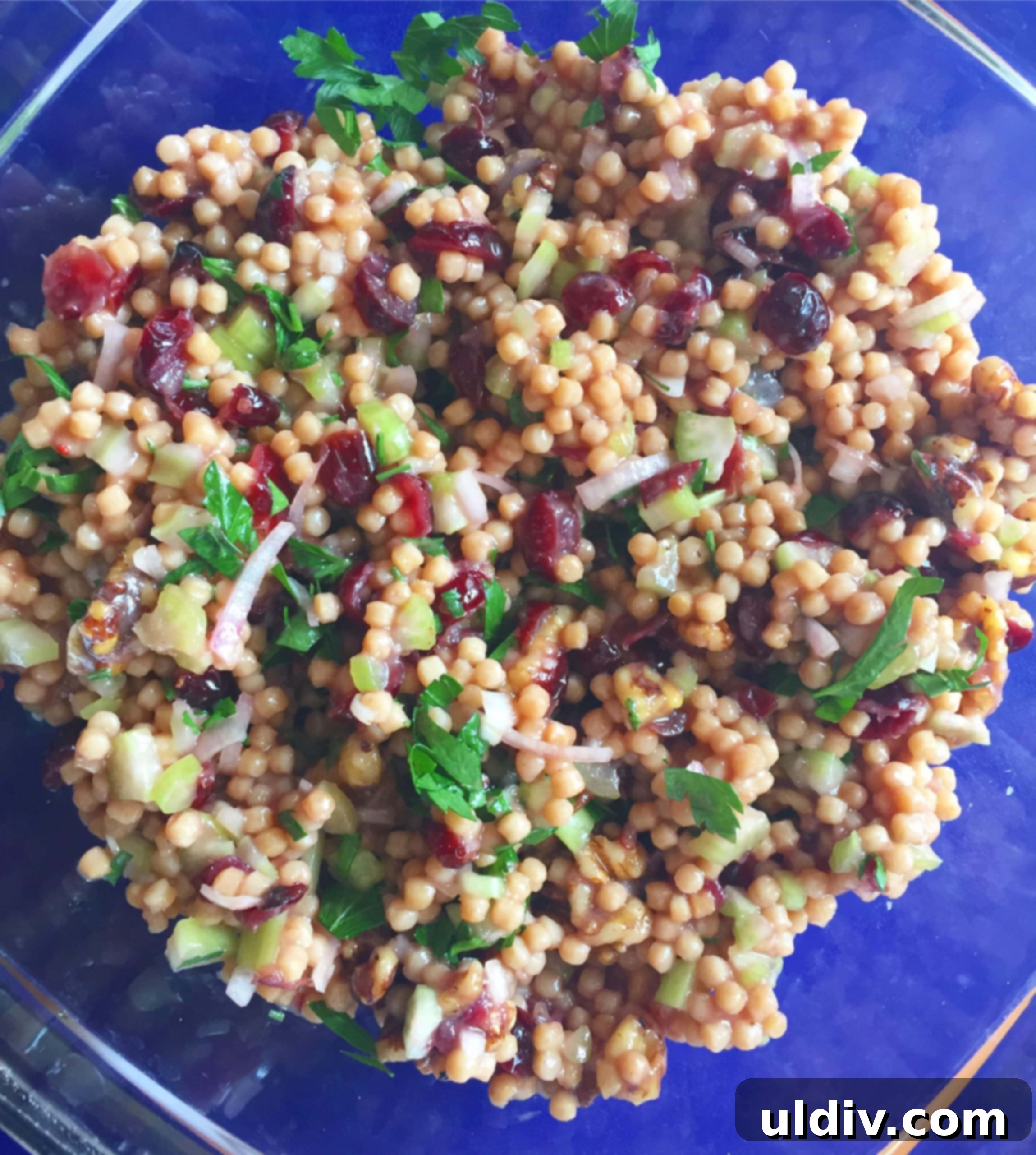 Citrus Couscous Salad with Cranberries and Candied Pecans 2 Orange Scented Whole Wheat Couscous Salad with Dried Cranberries and Maple Pecans