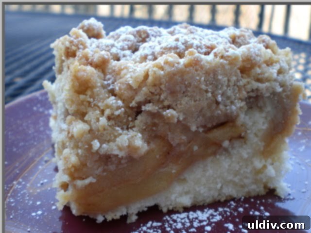 Finished Caramel Apple Crumb Cake ready to be served