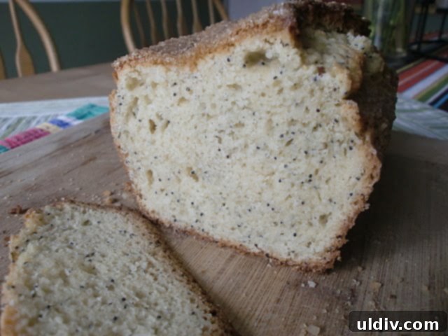 Poppy Seed Almond Loaf 3 Close-up of Poppy Seed Almond Quick Bread