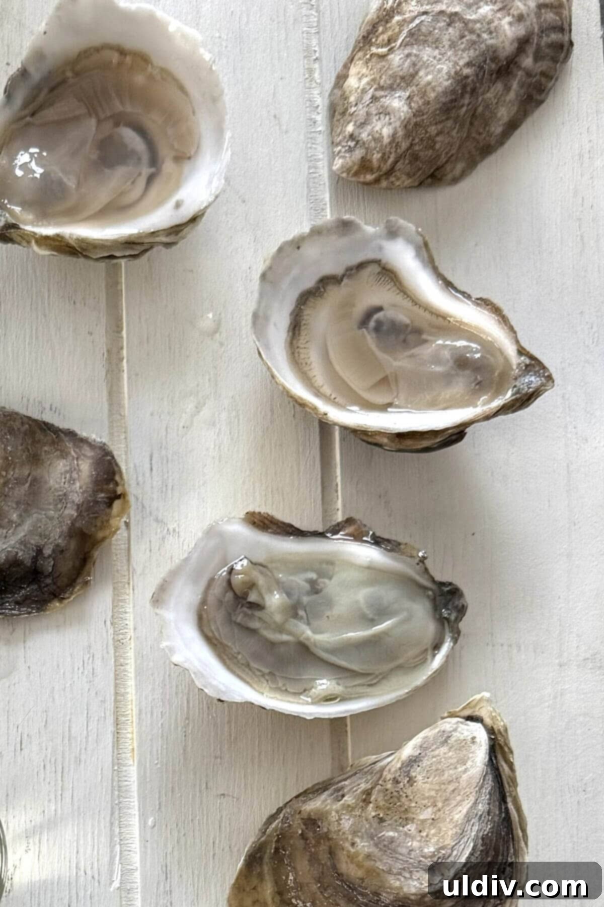 Indulgent Oysters Rockefeller 11 Shucked and whole fresh oysters.