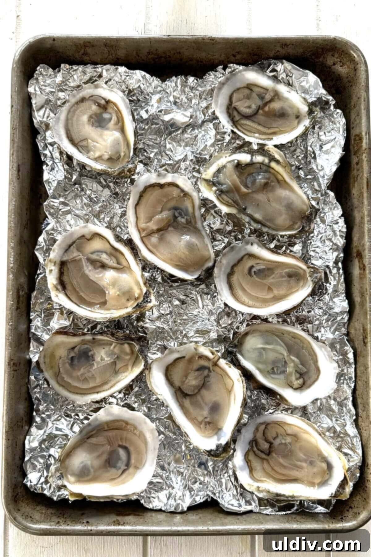 Indulgent Oysters Rockefeller 5 Shucked oysters for Rockefeller on crumpled foil on a baking sheet.