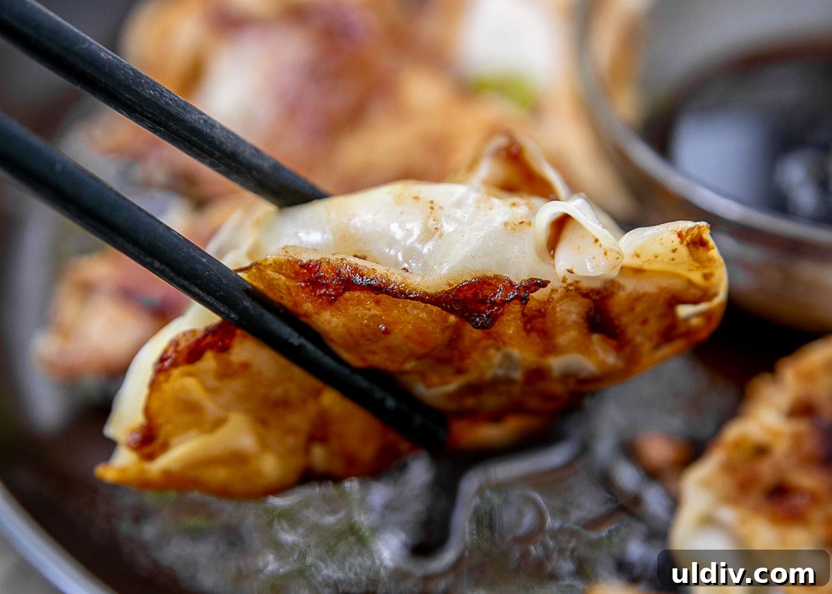 Chopsticks holding up a pork potsticker.