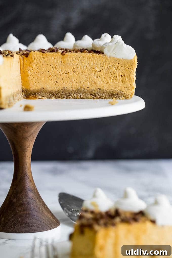 No-Bake Pumpkin Cheesecake Recipe: Creamy Fall Dessert 3 A pumpkin cheesecake on a cakestand with a slice taken out.