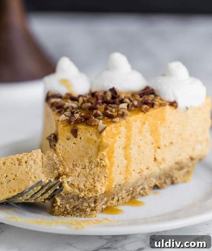 No-Bake Pumpkin Cheesecake Recipe: Creamy Fall Dessert 4 A slice of pumpkin cheesecake with a bite taken out.