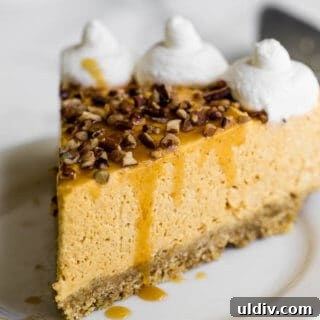 No Bake Pumpkin Cheesecake is the perfect thing to make for the holidays! So elegant ... no baking involved! Free up you oven space!