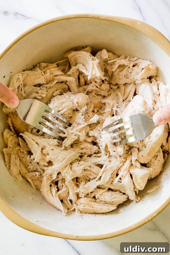 Crockpot Shredded Chicken Recipe for Tender, Versatile Meals 2 Chicken being shredded in a bowl with fork.