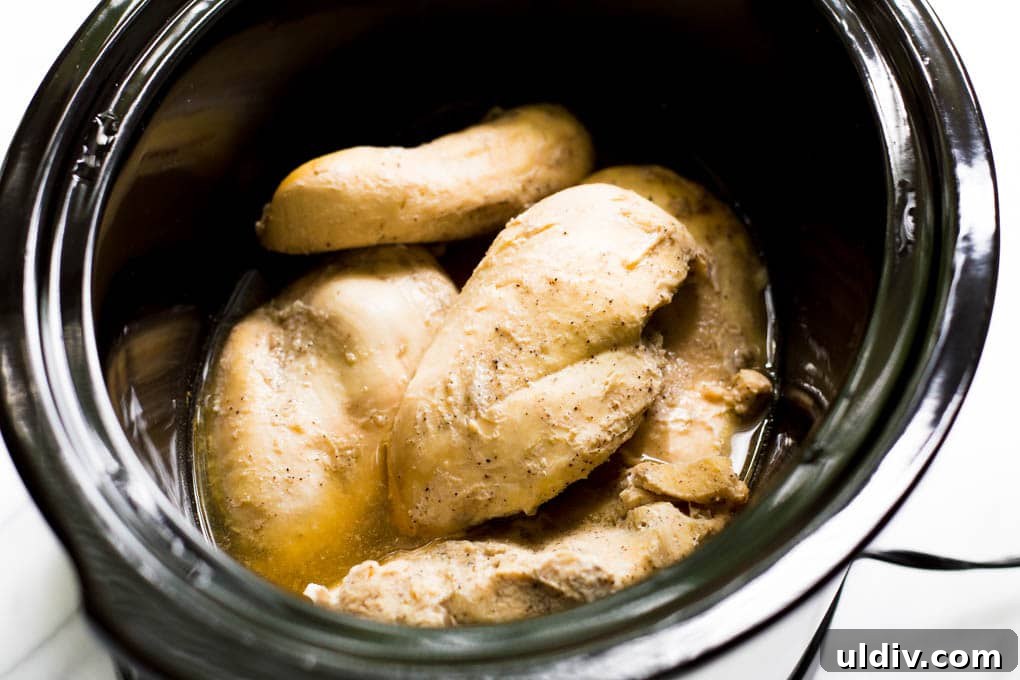 Crockpot Shredded Chicken Recipe for Tender, Versatile Meals 4 Cooked chicken in crockpot