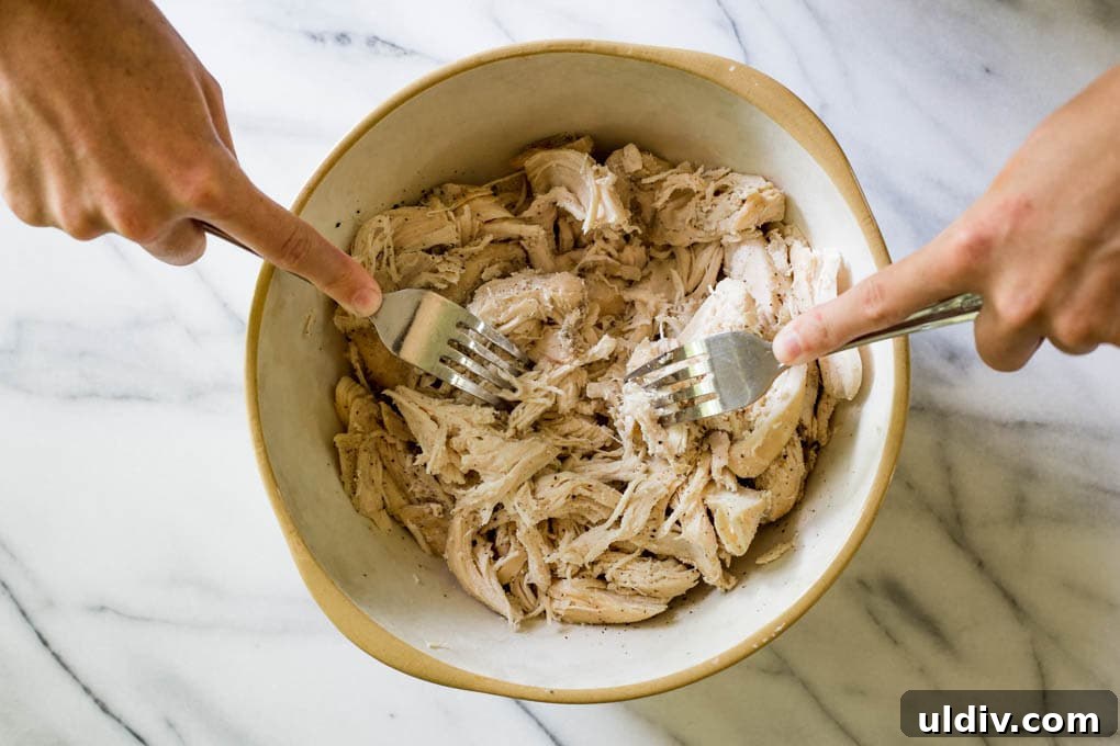 Crockpot Shredded Chicken Recipe for Tender, Versatile Meals 5 A woman shredding chicken in a bowl with forks.