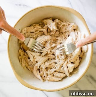 Crockpot Shredded Chicken Recipe for Tender, Versatile Meals 6 img 15935 6