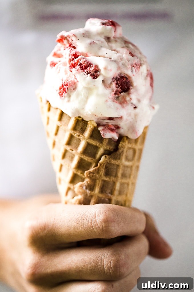 Creamy No-Churn Ice Cream Recipe: 5-Minute Homemade Dessert 4 Homemade No-Churn Strawberry Ice Cream