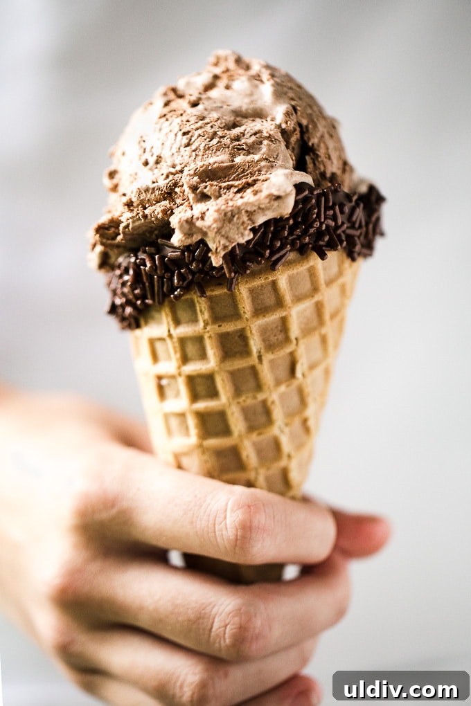 Creamy No-Churn Ice Cream Recipe: 5-Minute Homemade Dessert 6 Homemade No-Churn Chocolate Ice Cream