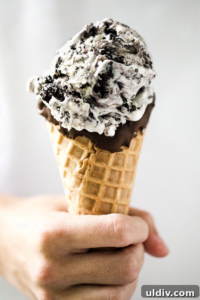 Creamy No-Churn Ice Cream Recipe: 5-Minute Homemade Dessert 7 Homemade No-Churn Cookies and Cream Ice Cream-2