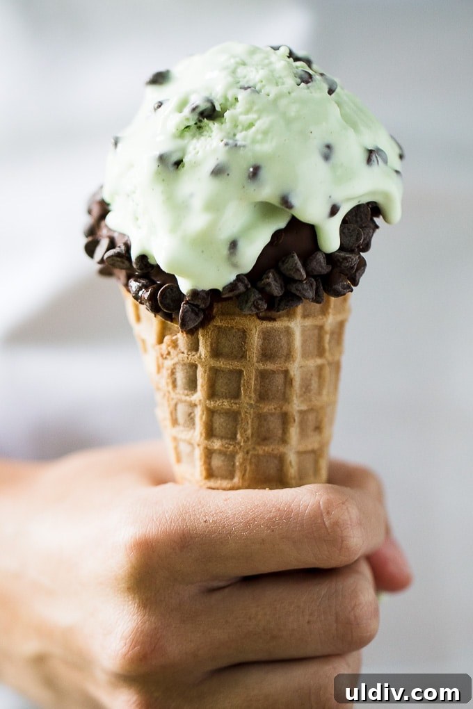 Creamy No-Churn Ice Cream Recipe: 5-Minute Homemade Dessert 8 Homemade No-Churn Mint Chocolate Chip Ice Cream