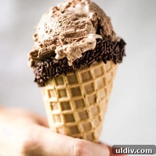 Creamy No-Churn Ice Cream Recipe: 5-Minute Homemade Dessert 9 img 16276 8