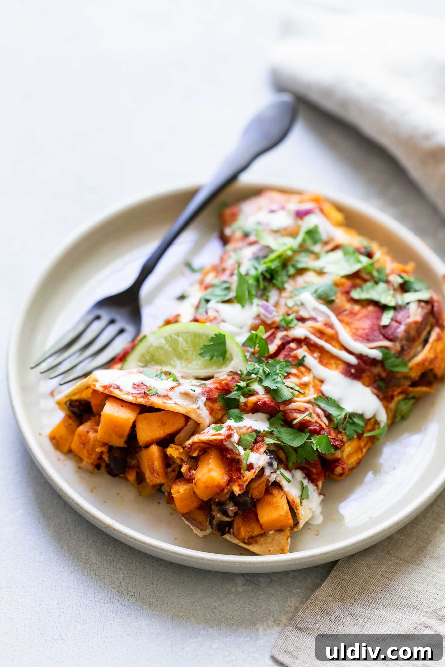 Sweet Potato Enchilada Casserole Recipe for Cozy Weeknight Meals 2 A serving of sweet potato enchiladas on a plate.