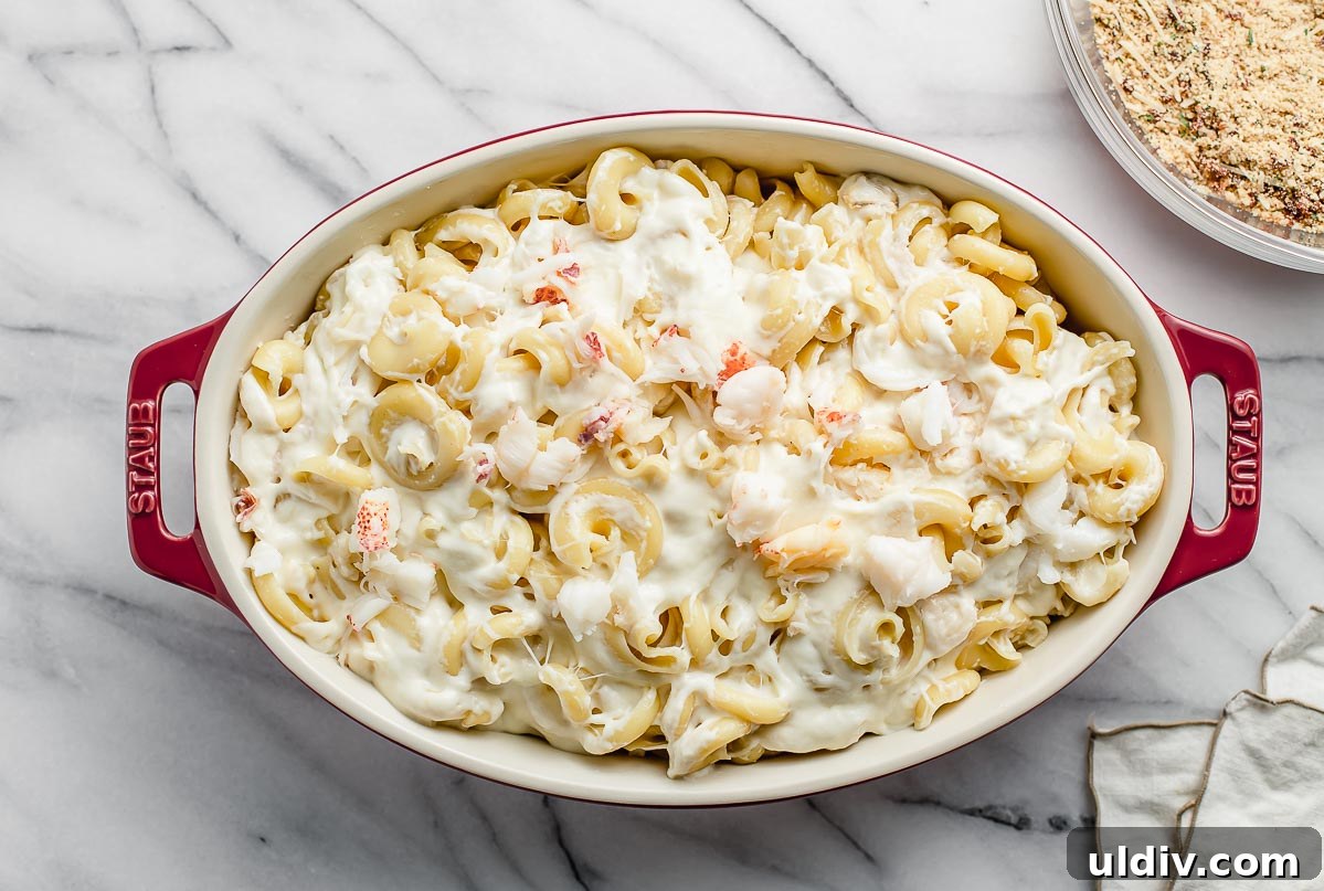 Creamy Lobster Macaroni and Cheese with Parmesan Crust 6 Lobster mac and cheese in a casserole dish.
