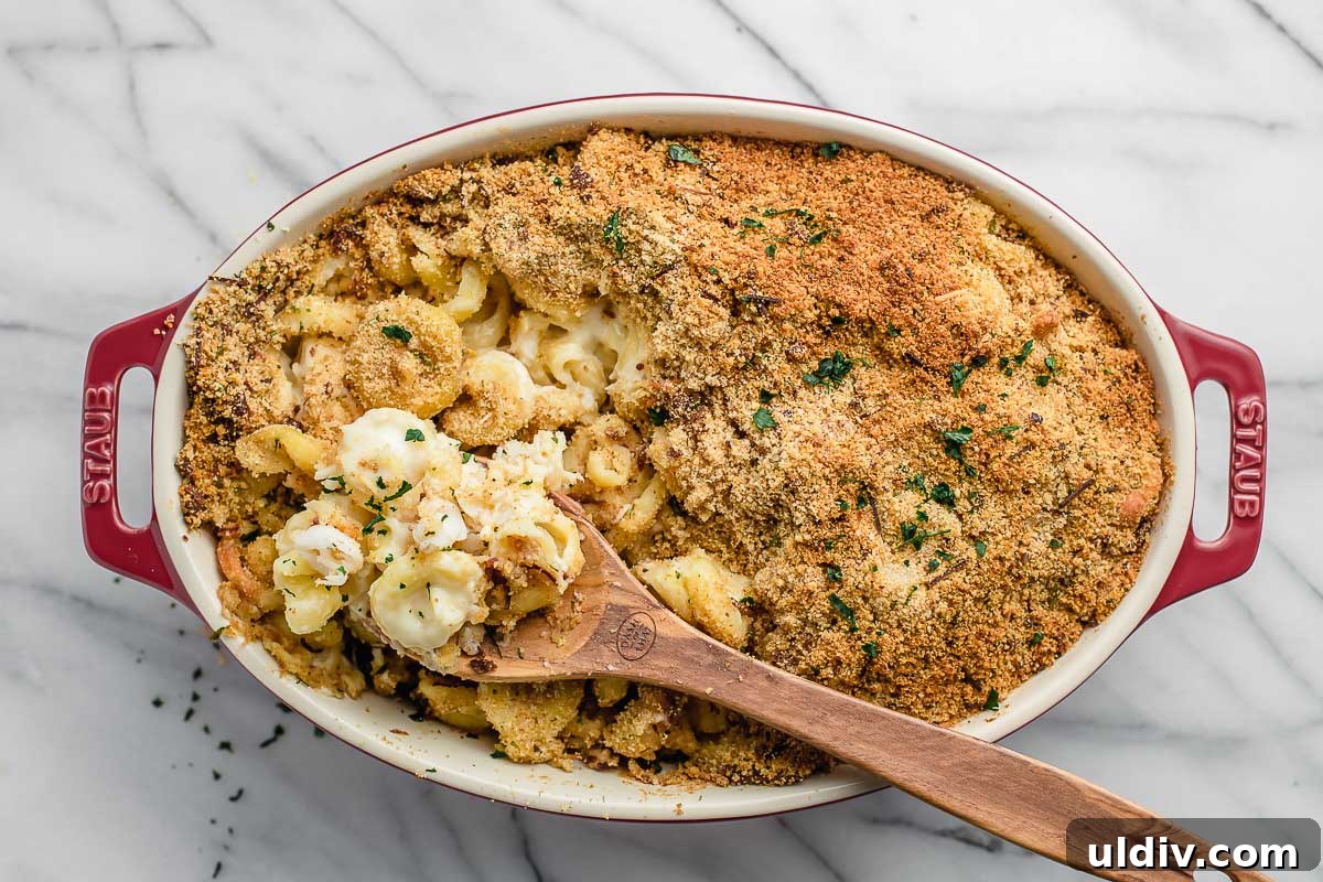 Creamy Lobster Macaroni and Cheese with Parmesan Crust 8 Baked casserole dish of lobster mac and cheese.