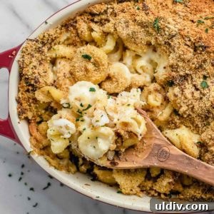 Creamy Lobster Macaroni and Cheese with Parmesan Crust 9 Lobster mac and cheese