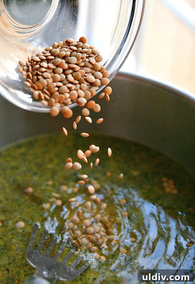 Hearty Homemade Lentil Soup Recipe for Comforting Weeknight Meals 4 Dried lentils being poured into the stock pot.