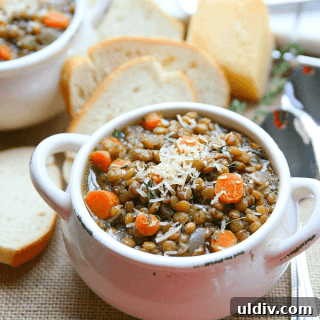 Hearty Homemade Lentil Soup Recipe for Comforting Weeknight Meals 6 lentil soup from amy in the kitchen