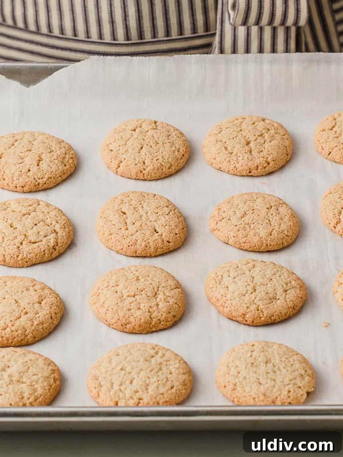 Gluten-Free Nilla Wafer Recipe: Homemade Vanilla Wafers 3 Gluten free nilla wafers closeup.