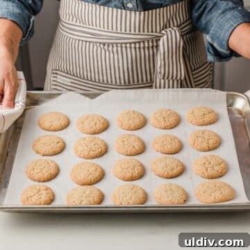 Gluten-Free Nilla Wafer Recipe: Homemade Vanilla Wafers 4 img 30871 3
