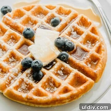 Crispy Gluten-Free Waffle Recipe for Light, Fluffy Breakfast 2 Gluten free waffles recipe.