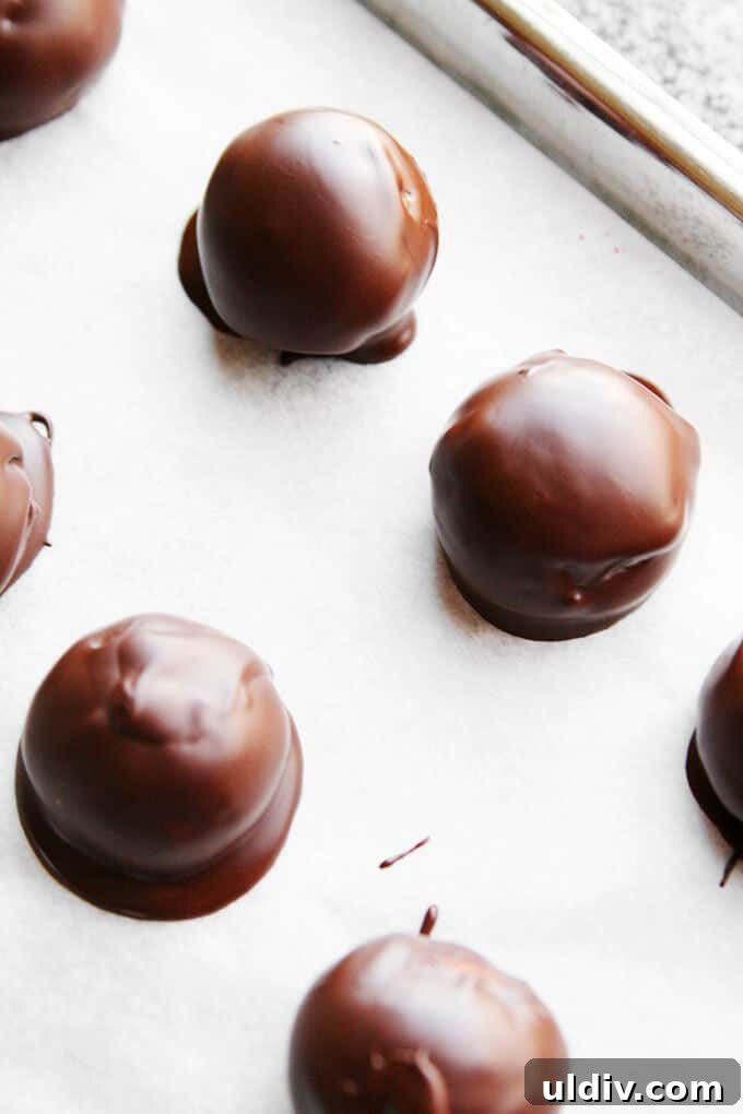 Chocolate covered peanut butter balls Peanut butter balls covered in chocolate.