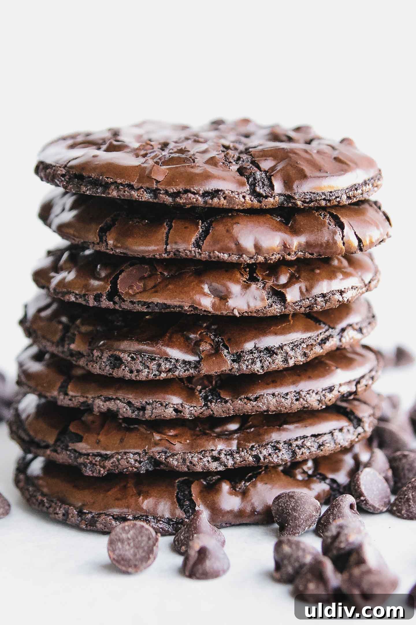 Gluten-Free Flourless Chocolate Chip Cookie Recipe 2 A stack of seven Flourless Chocolate Cookies.
