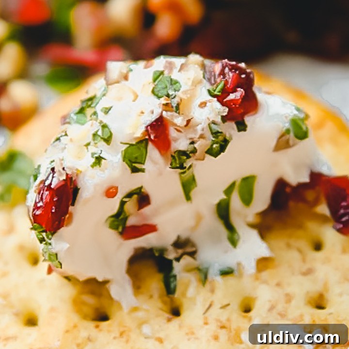 Savory Goat Cheese Truffles: Creamy Appetizer Bites for Parties 3 img 3871 2