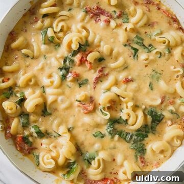 Creamy Sun-Dried Tomato & Basil Pasta Recipe for Dinner 6 img 6481 5