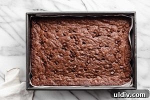 Baked brownies in a pan.